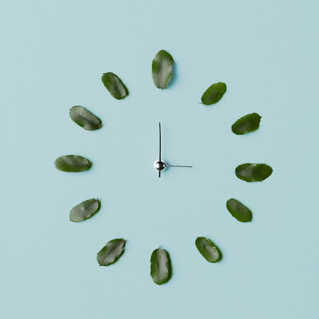 orologio di foglie